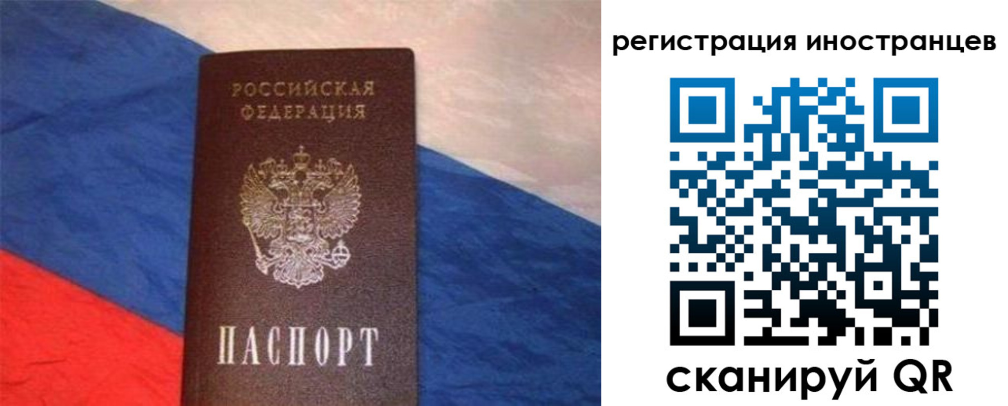 прописка в Ясном